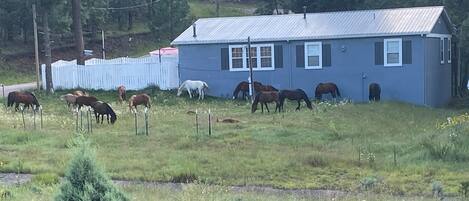 Happy Trails Retreat Welcomes you.