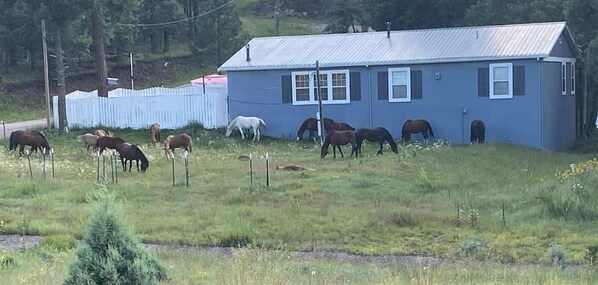 Happy Trails Retreat Welcomes you.