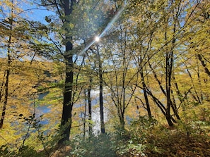 Écorégion, Ciel, Paysage Naturel, Brindille, Végétation, Tronc, Arbre, Plante, Bois