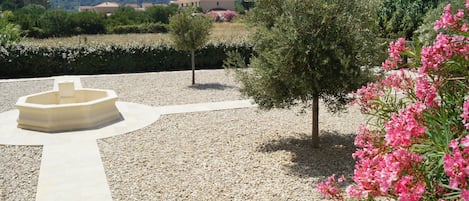 Cielo, Planta, Flor, Propiedad, Planta De La Comunidad, Árbol, Biome, Paisaje Natural, Paisaje, Cobertura Del Suelo