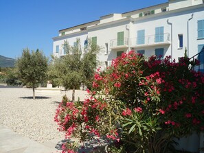 Blume, Pflanze, Himmel, Fenster, Eigentum, Gebäude, Blatt, Die Architektur, Vegetation, Haus