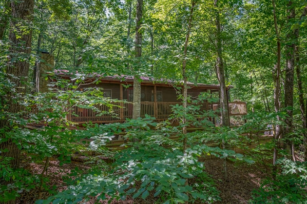 The Cabin in the Woods