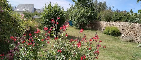 Vue sur le jardin, où vous pourrez vous reposer à l'ombre d'un arbre fruitier