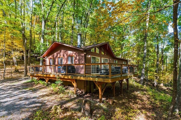 Welcome to Aspen Haus!