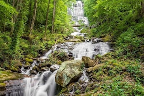 Amicolola Falls is only 15 minutes from the cabin.  GA's tallest Water Fall!