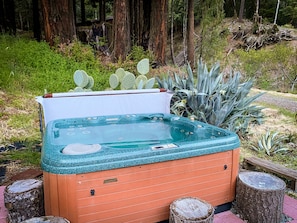 You'll love our shared hot tub tucked under Redwood trees, surrounded by agaves