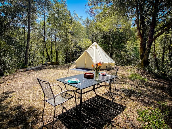 Silent, secluded on top of a knoll, surrounded by Humboldt's magical forest.