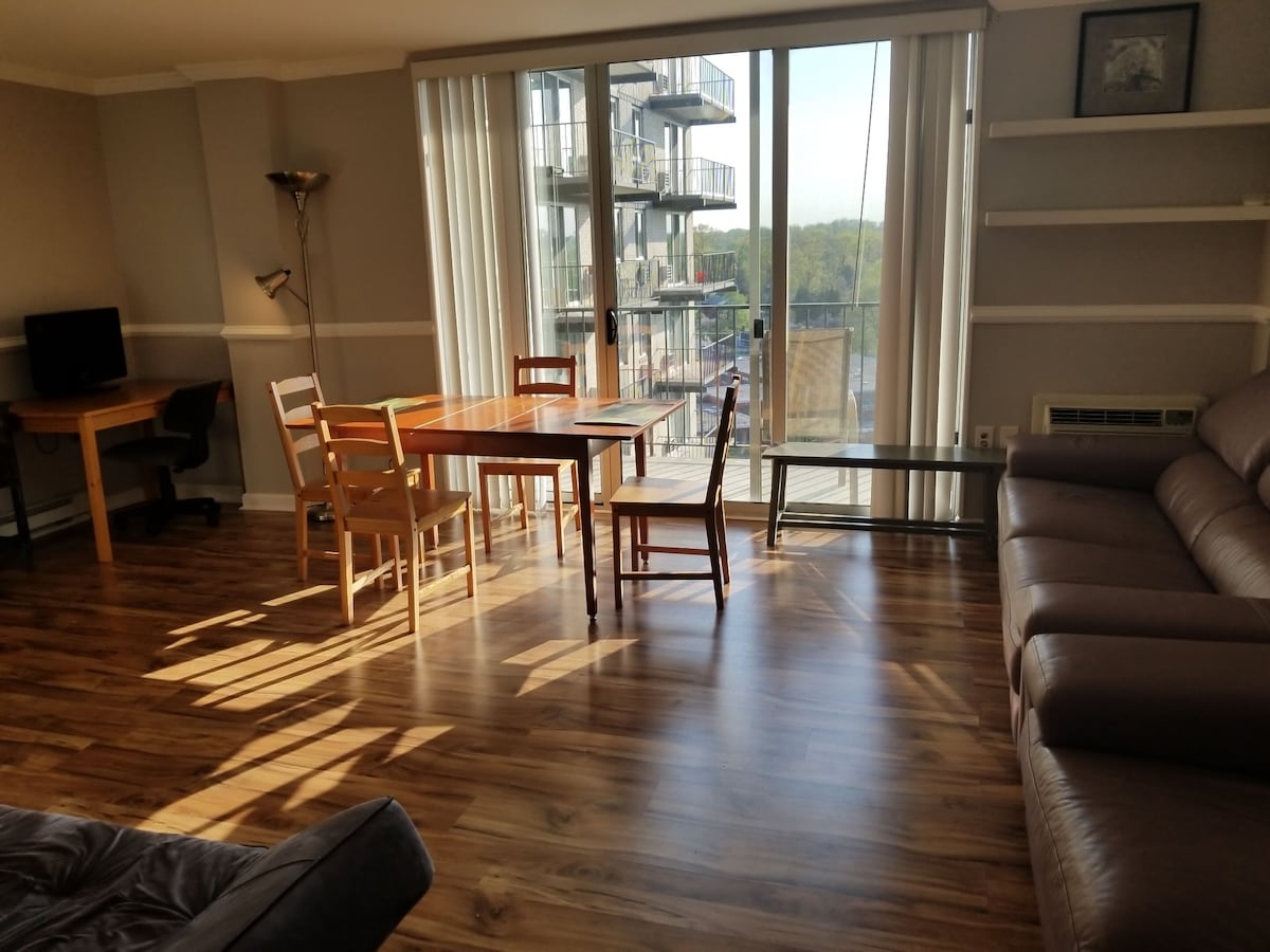 2-bdr Condo for a Professional Traveller