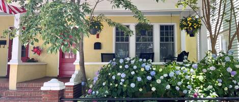 Front of the house, facing quiet and charming Prince George Street