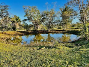 Terrain de l’hébergement 