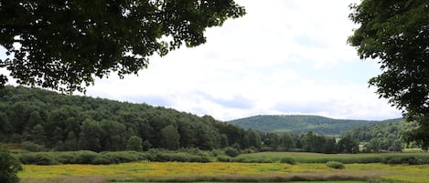 View from Front, Beautiful, Rural Countryside