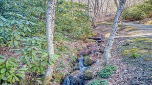 Creek on Way to Cabin