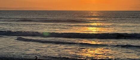 twenty steps to the beach gate