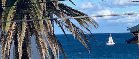 View from front window