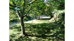 Boendeområde