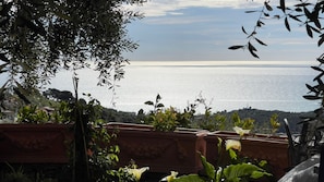 Vue depuis l’hébergement
