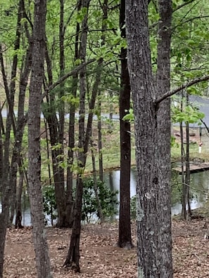 Pond 