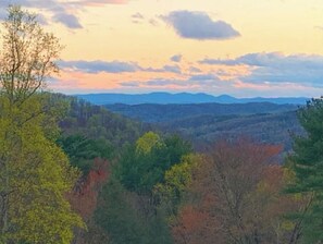 View from porch