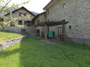 Picture 5