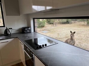 Kitchen window offers views of frequent wildlife!