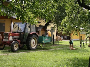 Bauernhof-Pension Puschnikhof