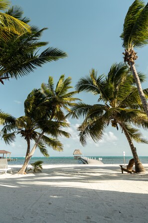 View to the pier from the beach