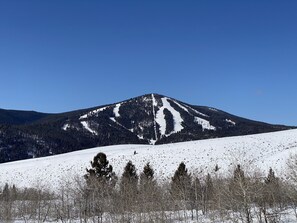 Sne- og skisport