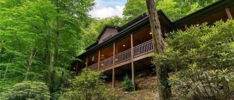 View of Cabin from Driveway