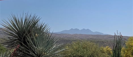 The best view of Four Peaks ever! 