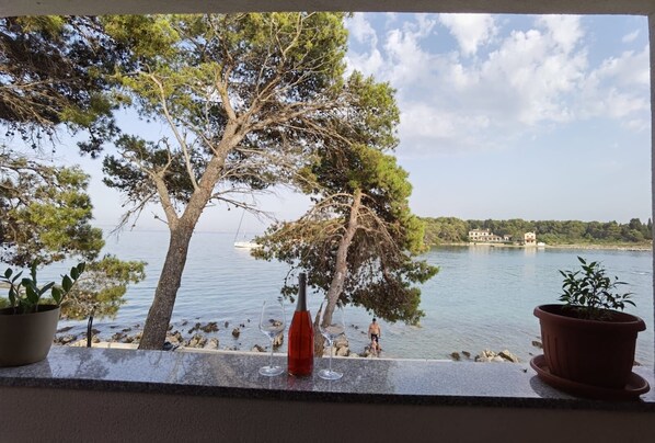 View from property