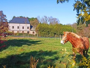Boendeområde
