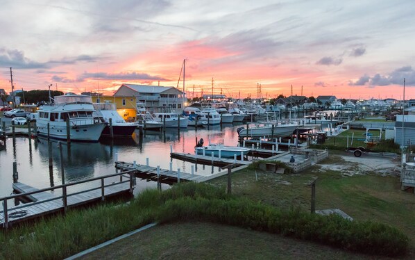 View from your back deck
