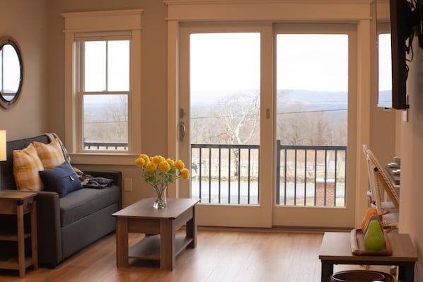 Living area and balcony