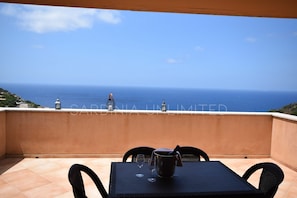 Balcony / Terrace / Patio