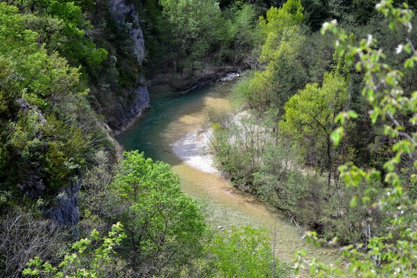 Terrain de l’hébergement 