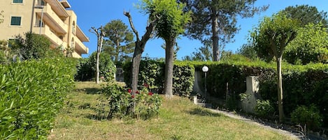 Parco della struttura