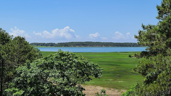 Ever changing views of Loagy Bay and the tidal marsh from the deck