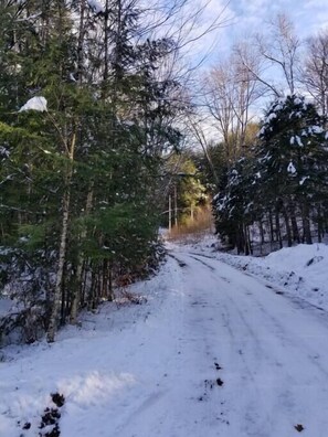 Private, wooded lot. No neighbors!