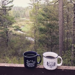 Some guests have seen bear cubs drinking from the stream.