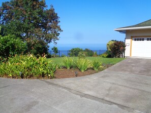 Beautiful yard with native plants and an avocado tree at your disposal.