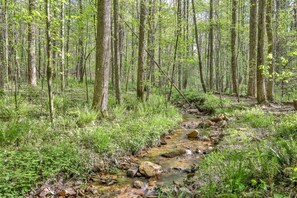 Tranquil creekfront