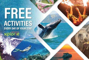 Wailea Ekolu 504 Free Activities S3