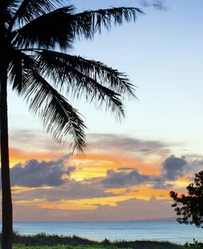Beach/ocean view