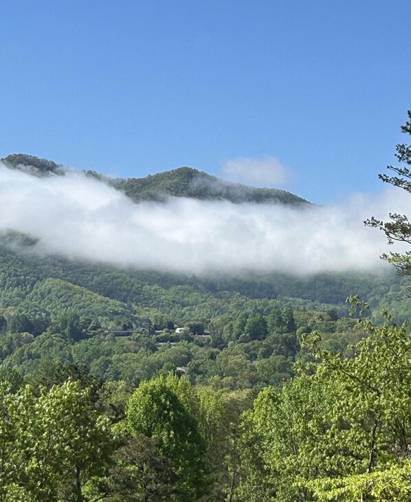  View from our driveway right now. 🫎❤️