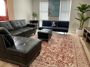 Large living room with futon bed