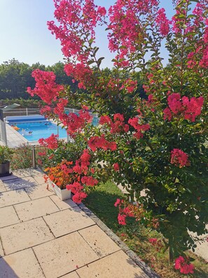Vue sur la piscine depuis la terasse