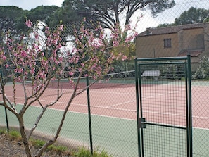 スポーツ場