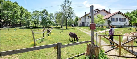 Parco della struttura