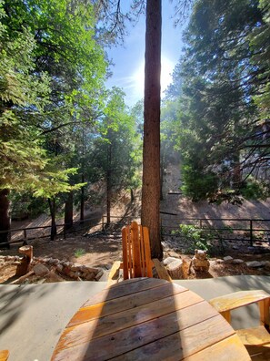 Backyard seating area