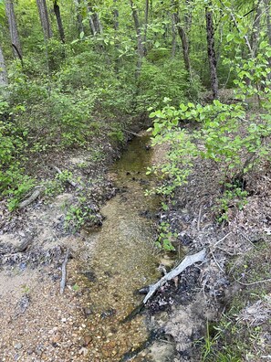 Creek that runs along the side of the property, so peaceful. 